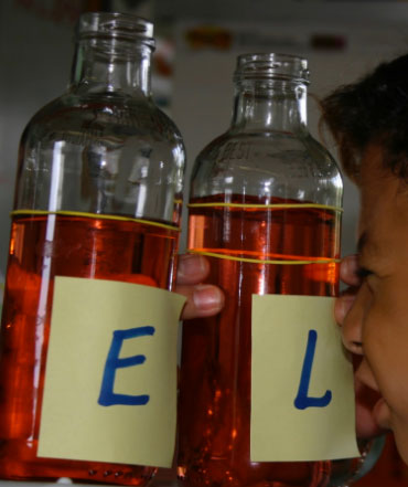 bottles of liquid photo