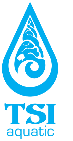 tsi-logo-sm